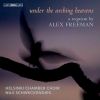 Download track Freeman: Under The Arching Heavens: IIIa. Sequence. Dies Irae