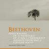 Download track Piano Sonata No. 13 In E-Flat Major, Op. 27 No. 1 