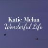 Download track Wonderful Life