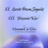 Download track Zweite Person Singular