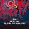 Download track Acid In The House (Extended Mix)