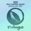 Download track Steal My Joy (Opolopo Instrumental Remix)