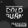 Download track Pleasure Avenue