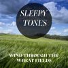 Download track Wind Through The Wheat Fields, Pt. 2