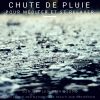 Download track Méditer Avec La Pluie (Rain Sound And Nature Your Health And Meditation)