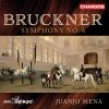 Download track Bruckner: Symphony No. 6 In A Major, WAB 106: I. Majestoso - Bedeutend Langsamer