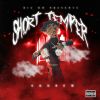 Download track Short Temper