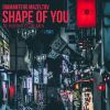 Download track Shape Of You (Afrobeats Remix)