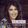 Download track Yanmışım Ben