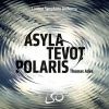 Download track Asyla, Op. 17 IV. Fourth Movement