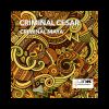 Download track Criminal Maya (Criminal Vibe Mix)