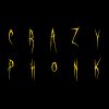 Download track Crazy Phonk