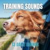 Download track Firework Sound For Dogs 2