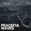 Download track The Calming Effect Of Waves