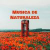 Download track Música Ambiental Para Videojuegos