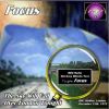 Download track Focus I'