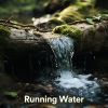 Download track Water Stream Sound