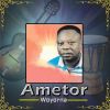 Download track Ametor Woyorna, Pt. 1