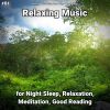 Download track Relaxation Music Pt. 23