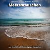 Download track Wellness Auf Der Hängematte