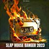 Download track Slap House Stampede