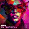 Download track My Focus Is You