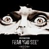 Download track Fear You See (Peter Mills Remix)