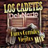 Download track Corrido De Chito Cano