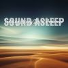 Download track Soothing Windy Desert Ambience, Pt. 16