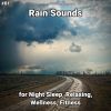 Download track Unmatched Rain Sounds To Study To
