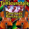 Download track El Cuerudo Tamaulipeco