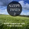 Download track Wind Through The Wheat Fields, Pt. 2