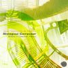 Download track Biological Computer (Shanti'deedrah Remix)