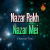 Download track Natho Dil Ta Lahi Dildara