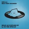 Download track Mean As Custard (Original Mix)