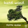 Download track Hard Wind