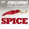 Download track Spice (Single Edit)