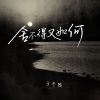 Download track 舍不得又如何 (伴奏)