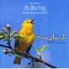 Download track Yellow Warbler