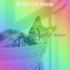 Download track Spirited Moods For Cute Cats