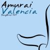 Download track Valencia (Intro Mix)