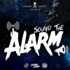 Download track Sound The ALARM (Original Mix)