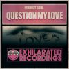 Download track Question My Love (Dub Mix)