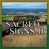 Download track Sacred Signs (Vocal By Bradfield)