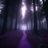 Download track Forest (Slowed)