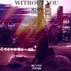 Download track Without You