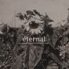 Download track Eternal Youth