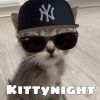 Download track Kittynight