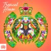 Download track Tropical House Continuous Mix 2