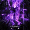 Download track Vxctim